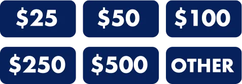 Donation Amounts